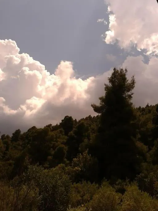 Blue Forest Vourvourou